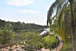Blk 422 Pasir Ris Drive 6 (Pasir Ris), HDB Executive #205633741